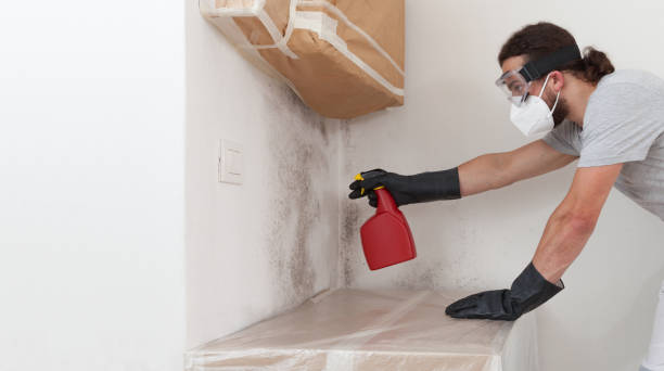Professional Bathroom Mold Removal technician working in Thonotosassa, FL