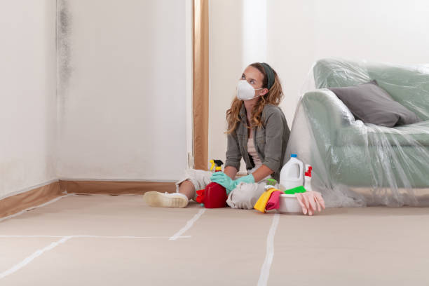 Reliable Bathroom Mold Removal contractor in Thonotosassa, FL by WQB Mold Removal